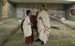 traki5_250x154_crop_478b24840a