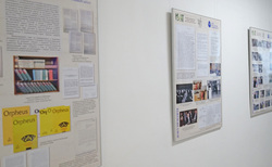 p1177496_250x154_crop_478b24840a