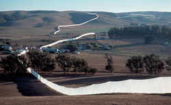 the-running_250x154_crop_478b24840a