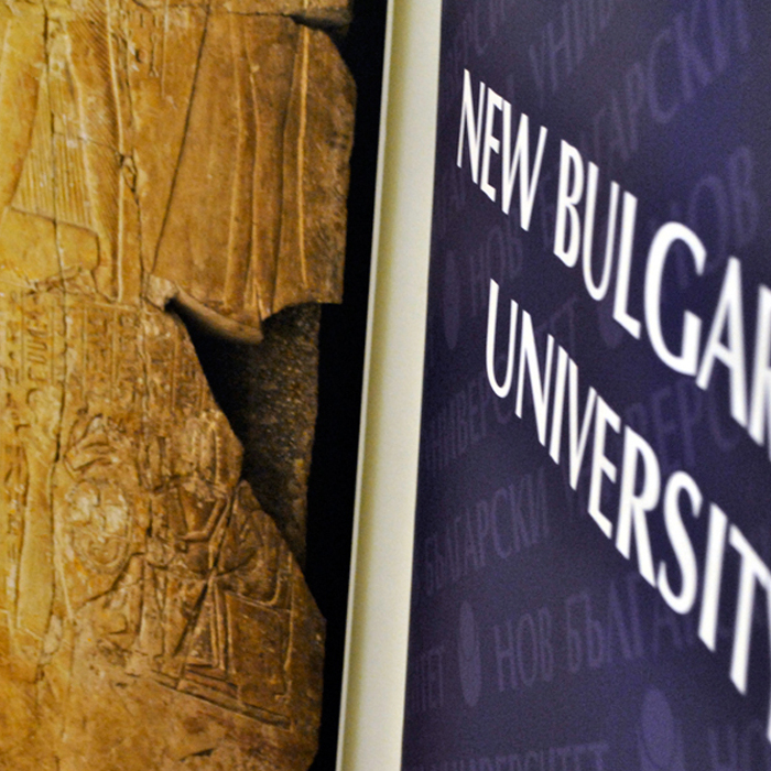 egyptology1_700x700_crop_478b24840a