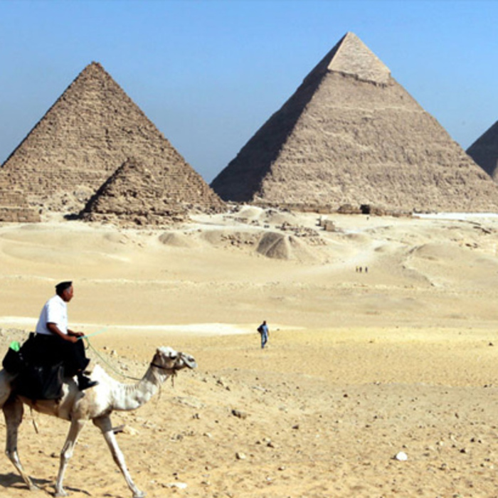 denica_700x700_crop_478b24840a