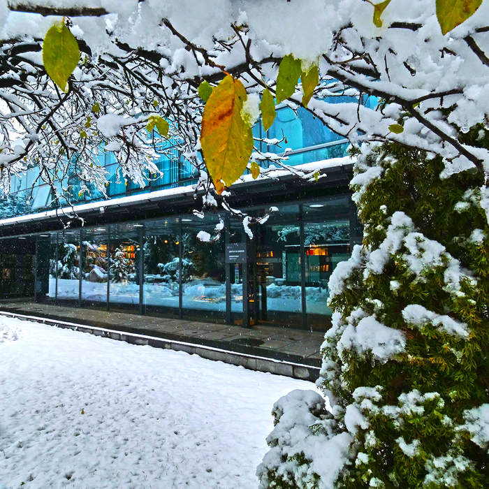 p1200486-copy_700x700_crop_478b24840a