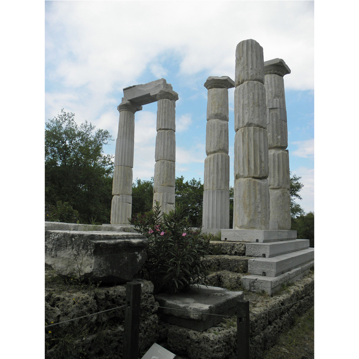 p5064661_700x700_crop_478b24840a