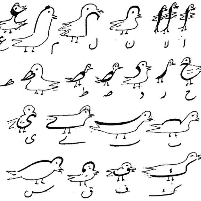 nastaliq-ducks_700x700_crop_478b24840a