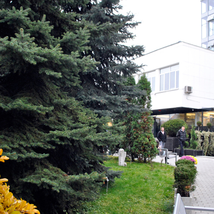 dsc0007-copy_700x700_crop_478b24840a